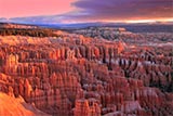Bryce