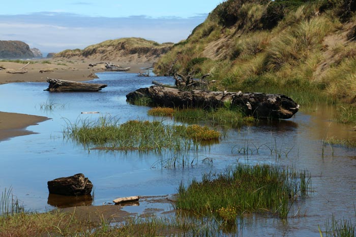 Coast