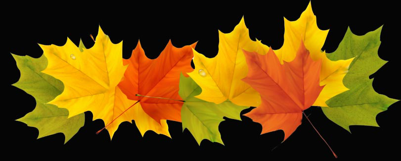 FallLeaves