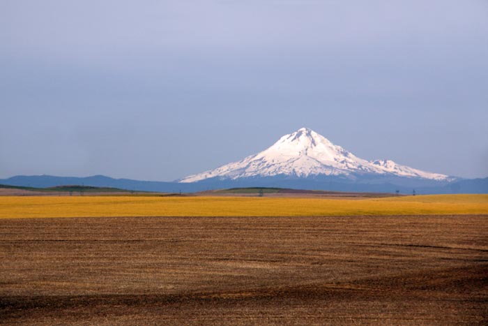 Mount Hood