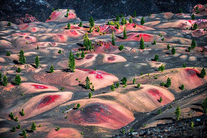 Painted Dunes