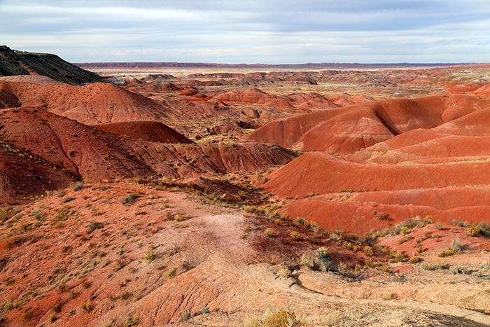 Painted Desert