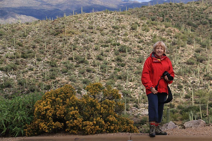 Saguaro NP