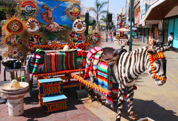 Tijuana Market
