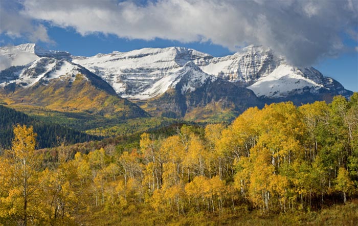Wasatch