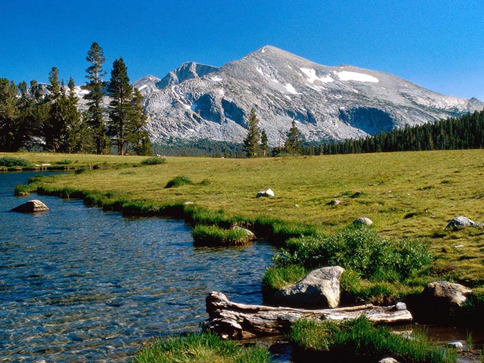 Yosemite NP 1