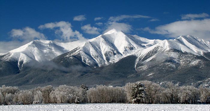 BuenaVista