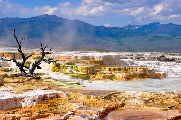 Yellowstone NP